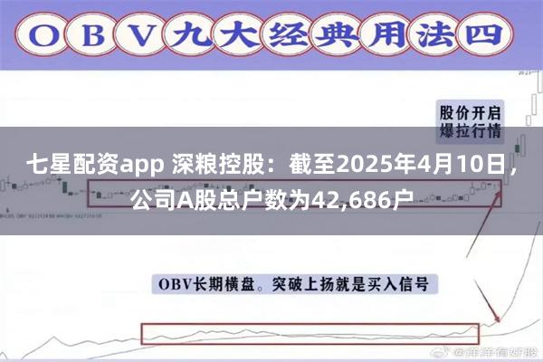 七星配资app 深粮控股:截至2025年4月10日,公司A股总户数为42,686户