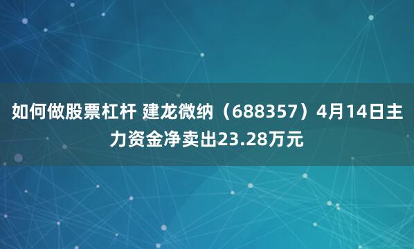如何做股票杠杆 建龙微纳(688357)4月14日主力资金净卖出23.28万元