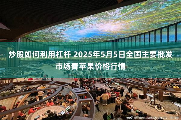 炒股如何利用杠杆 2025年5月5日全国主要批发市场青苹果价格行情