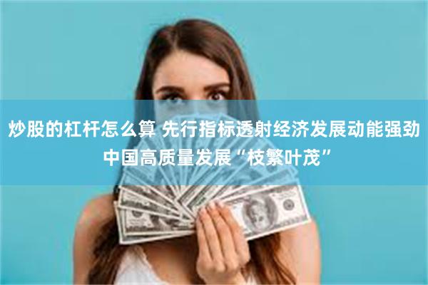炒股的杠杆怎么算 先行指标透射经济发展动能强劲 中国高质量发展“枝繁叶茂”