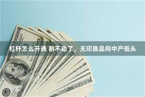 杠杆怎么开通 割不动了,无印良品向中产低头