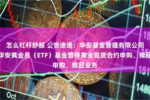 怎么杠杆炒股 公告速递:华安基金管理有限公司关于华安黄金易(ETF)基金暂停黄金现货合约申购、赎回业务