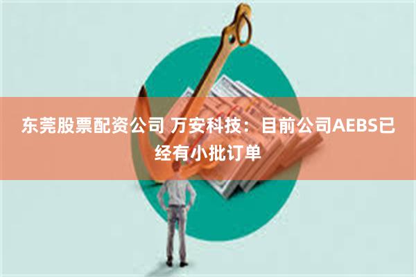 东莞股票配资公司 万安科技：目前公司AEBS已经有小批订单