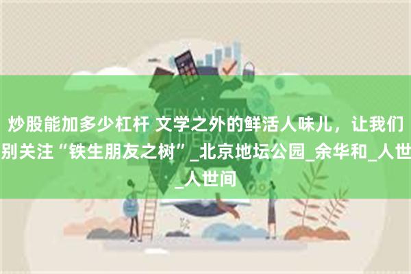 炒股能加多少杠杆 文学之外的鲜活人味儿,让我们特别关注“铁生朋友之树”_北京地坛公园_余华和_人世间