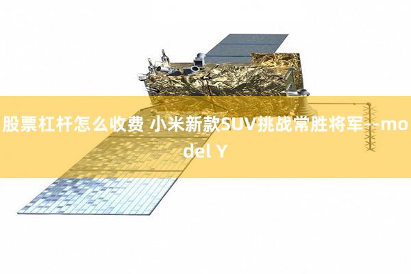 股票杠杆怎么收费 小米新款SUV挑战常胜将军--model Y