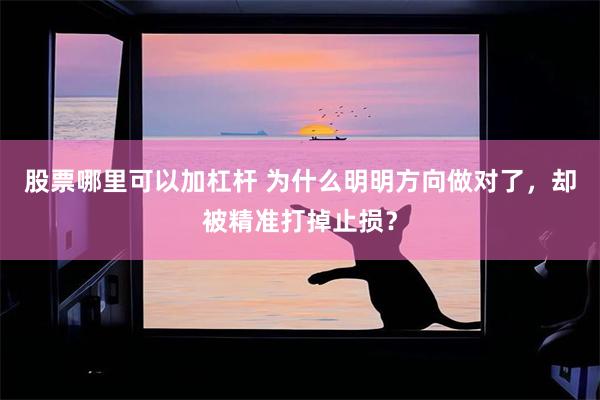 股票哪里可以加杠杆 为什么明明方向做对了,却被精准打掉止损?