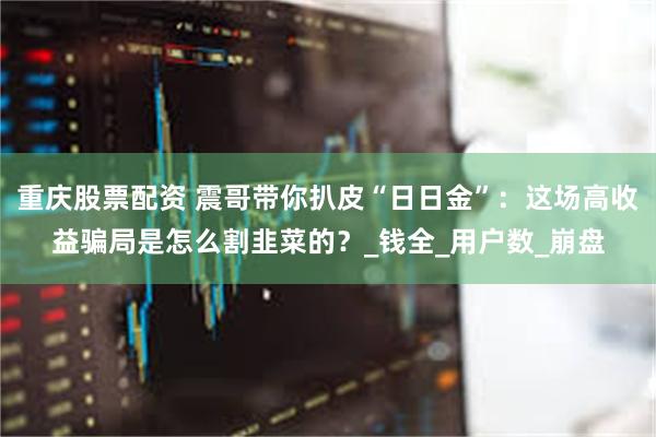 重庆股票配资 震哥带你扒皮“日日金”：这场高收益骗局是怎么割韭菜的？_钱全_用户数_崩盘