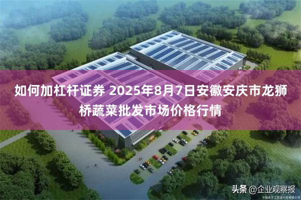 如何加杠杆证券 2025年8月7日安徽安庆市龙狮桥蔬菜批发市场价格行情