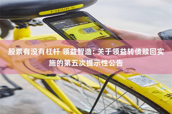 股票有没有杠杆 领益智造: 关于领益转债赎回实施的第五次提示性公告