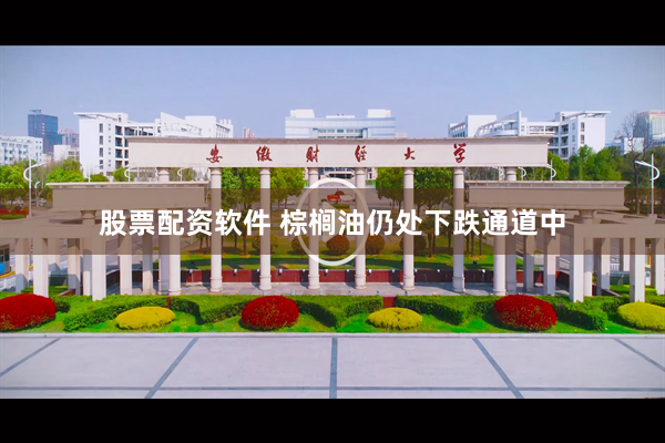 股票配资软件 棕榈油仍处下跌通道中